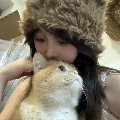 又见奈良